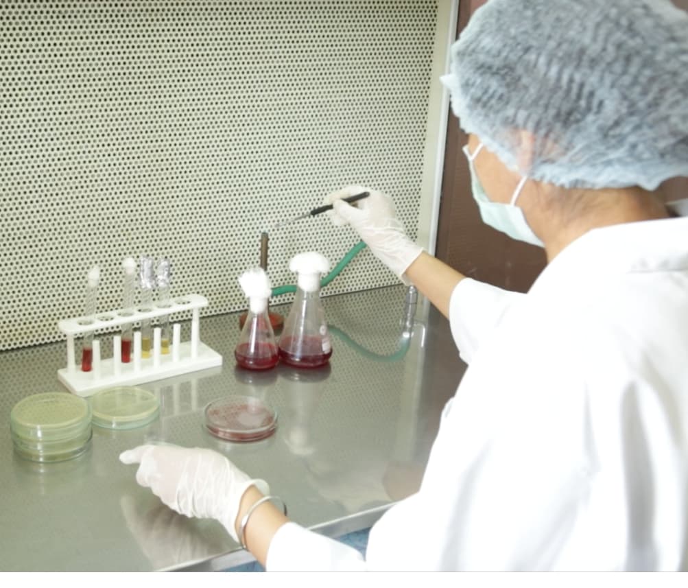 Quality control technician running microbiological tests